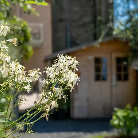 Alojamento de Acomodação e Pequeno-almoço La Chicca